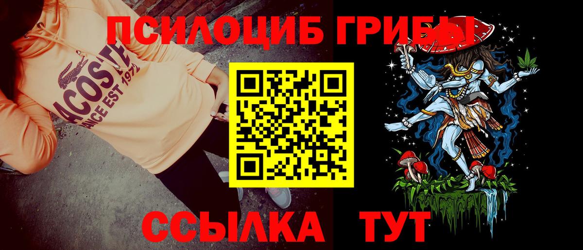 Галлюциногенные грибы MAGIC MUSHROOMS Гудермес
